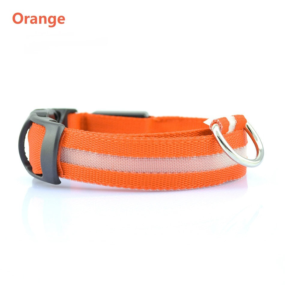 Rechargeable LED Dog Collar – Night Safety & Visibility for Pets
