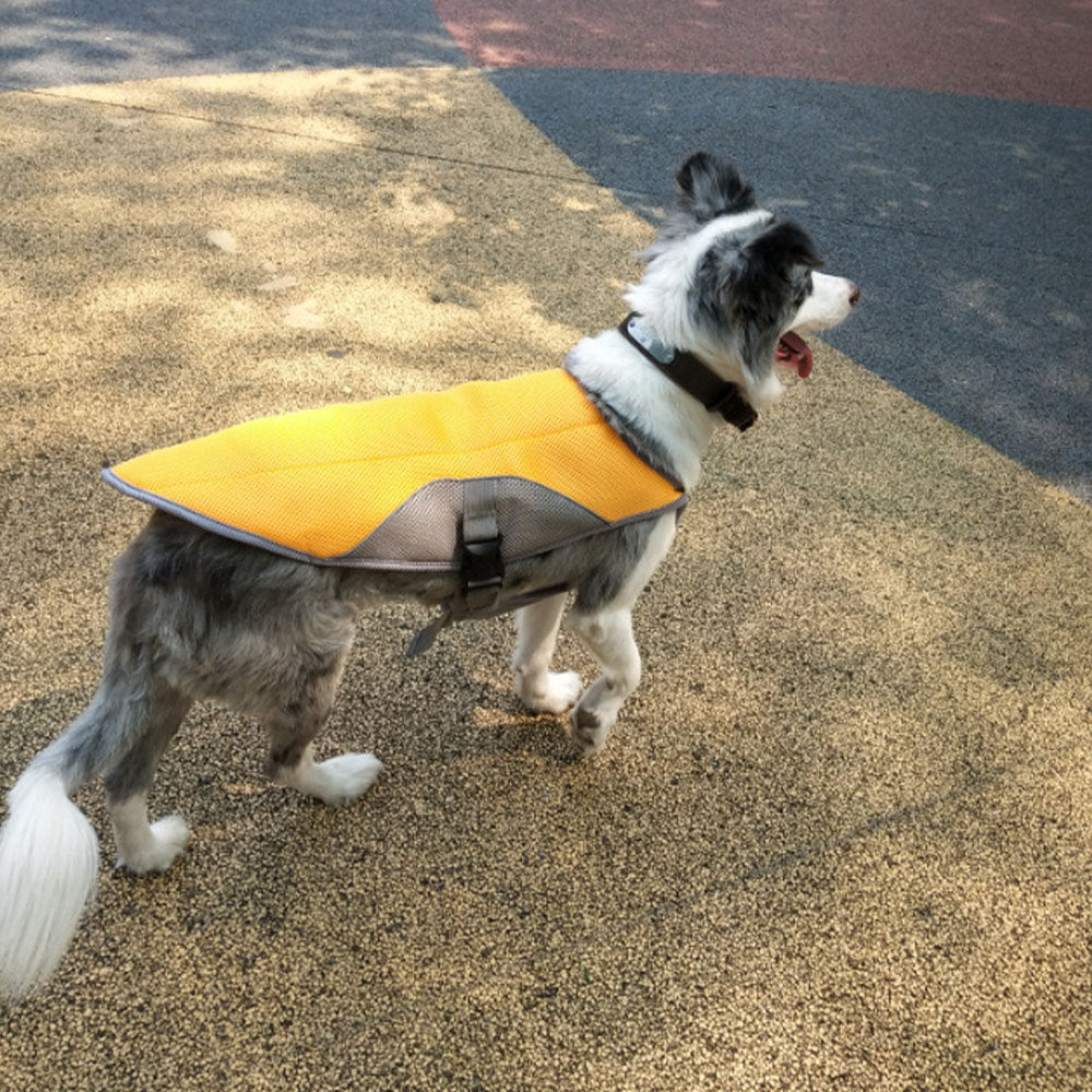 Summer Dog Cooling Vest – Breathable, Lightweight & Adjustable Cooling Gear for Dogs
