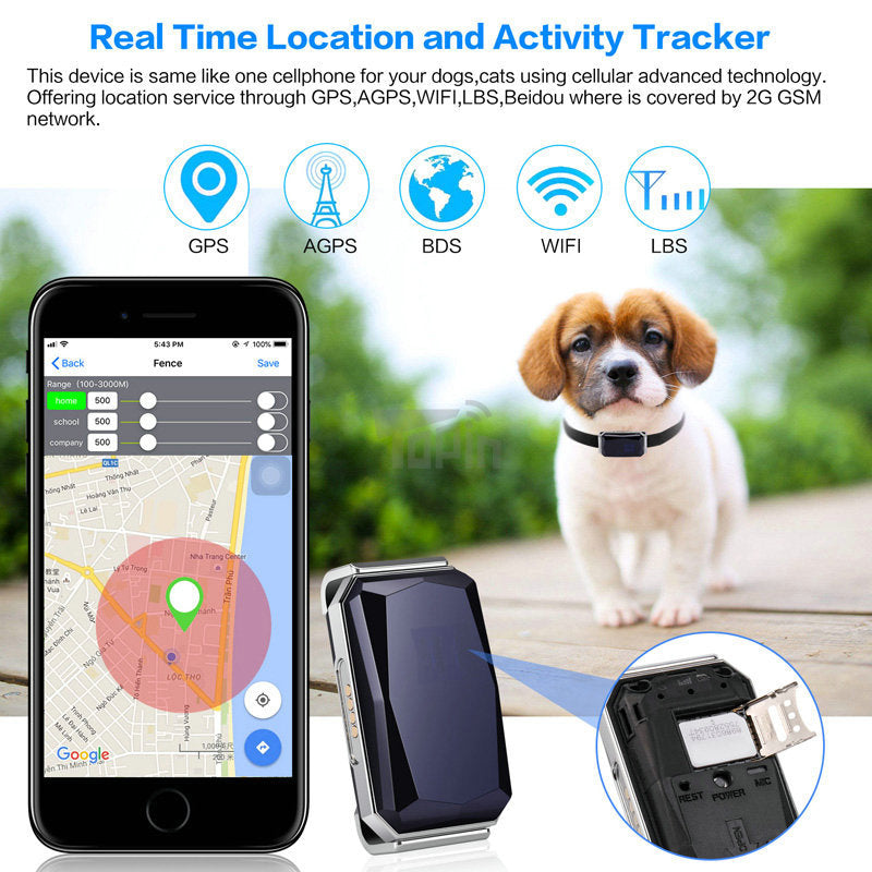 Collier GPS intelligent pour chiens et chats – Localisation en temps réel, étanche, longue durée de vie de la batterie, géolocalisation