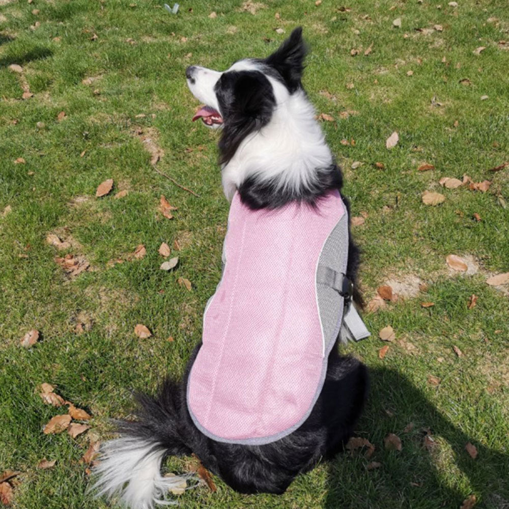Summer Dog Cooling Vest – Breathable, Lightweight & Adjustable Cooling Gear for Dogs