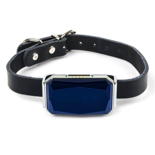 Smart Pet GPS Tracker Collar for Dogs & Cats – Real-Time Location Tracking, Waterproof, Long Battery Life, Geo-Fencing