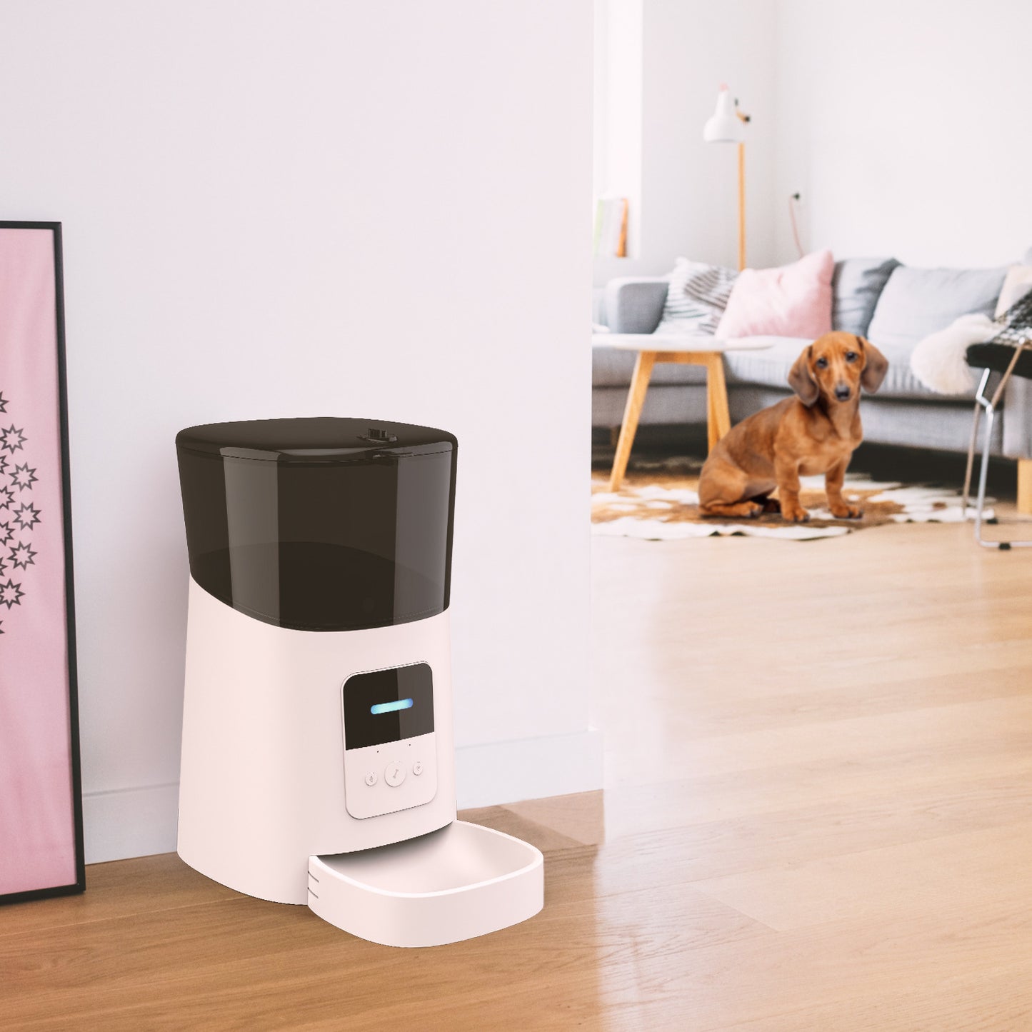 Automatic Pet Feeder – Timed Food Dispenser for Cats & Dogs with Portion Control