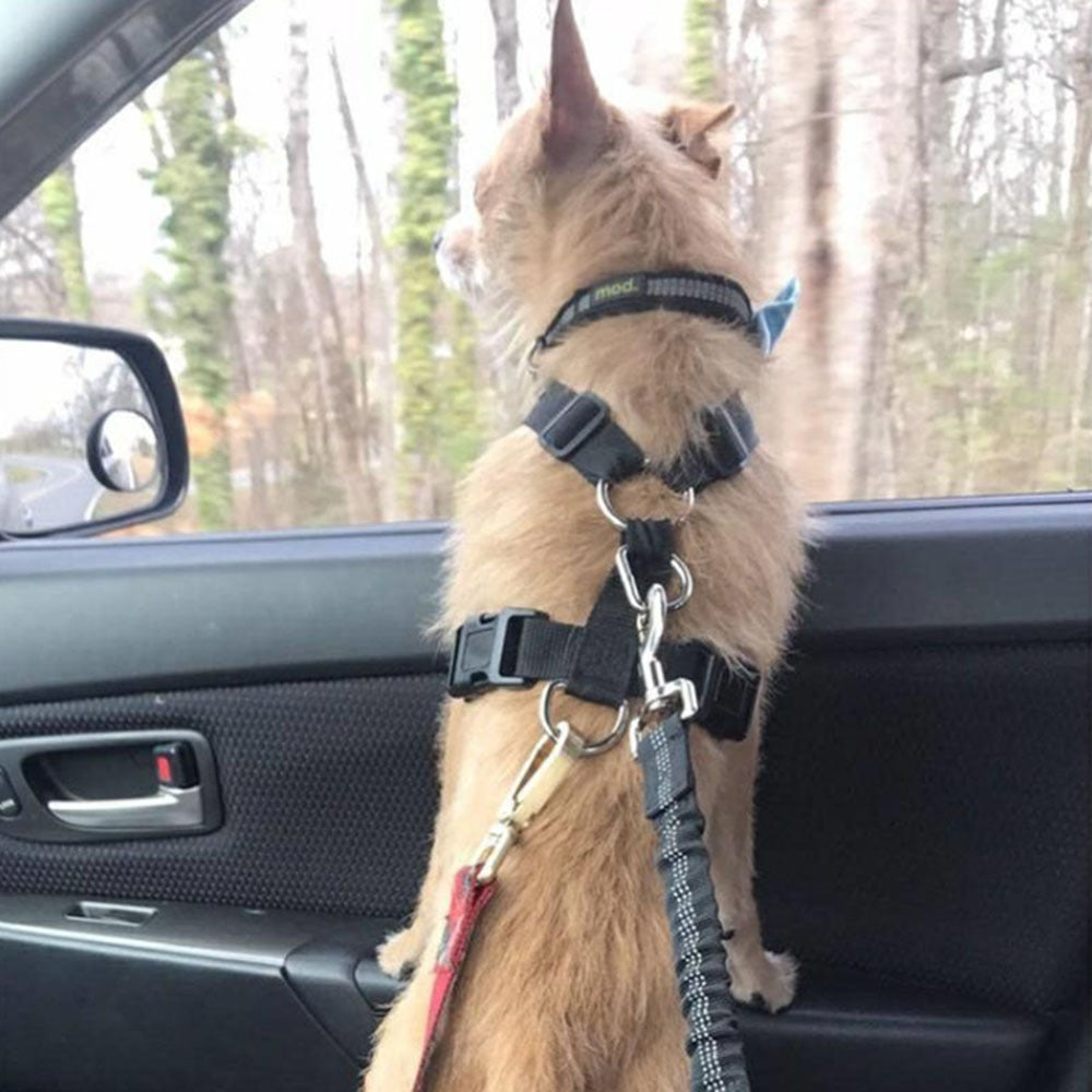 Adjustable Reflective Dog Seat Belt – Elastic Buffer & Safety Harness for Car Travel